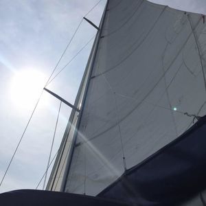 Meet your Posher, Billy